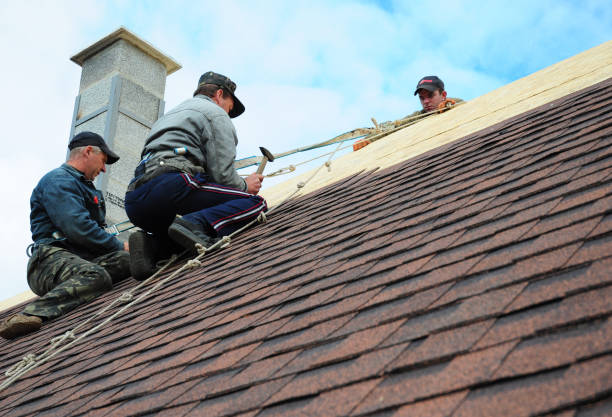 Quick and Trustworthy Emergency Roof Repair Services in Fredonia, AZ